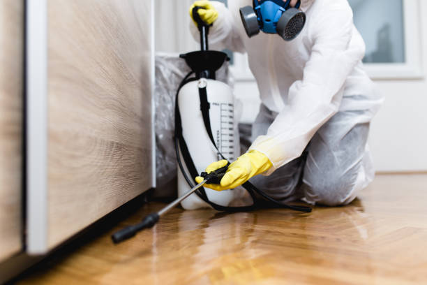 Best Cockroach Control Services  in West Branch, MI