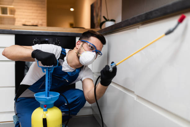 Best Pest Prevention Services  in West Branch, MI