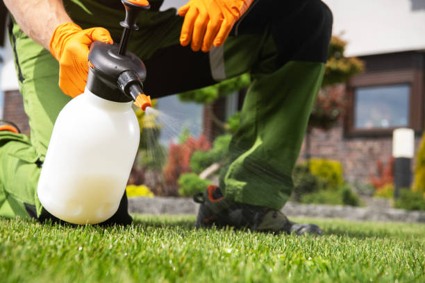Best Pest Inspection Near Me  in West Branch, MI