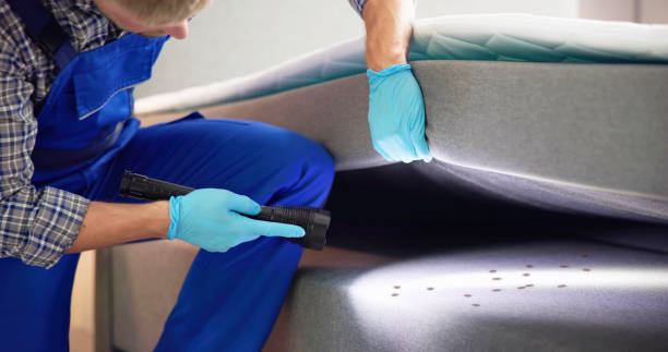 Professional Pest Control in West Branch, MI