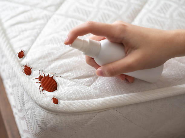 Best Affordable Pest Control Services  in West Branch, MI