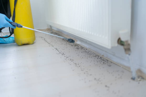  West Branch, MI Pest Control Pros