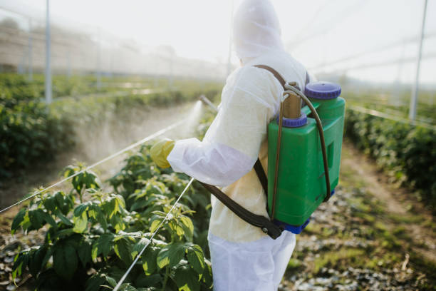 Best Mosquito Control Services  in West Branch, MI